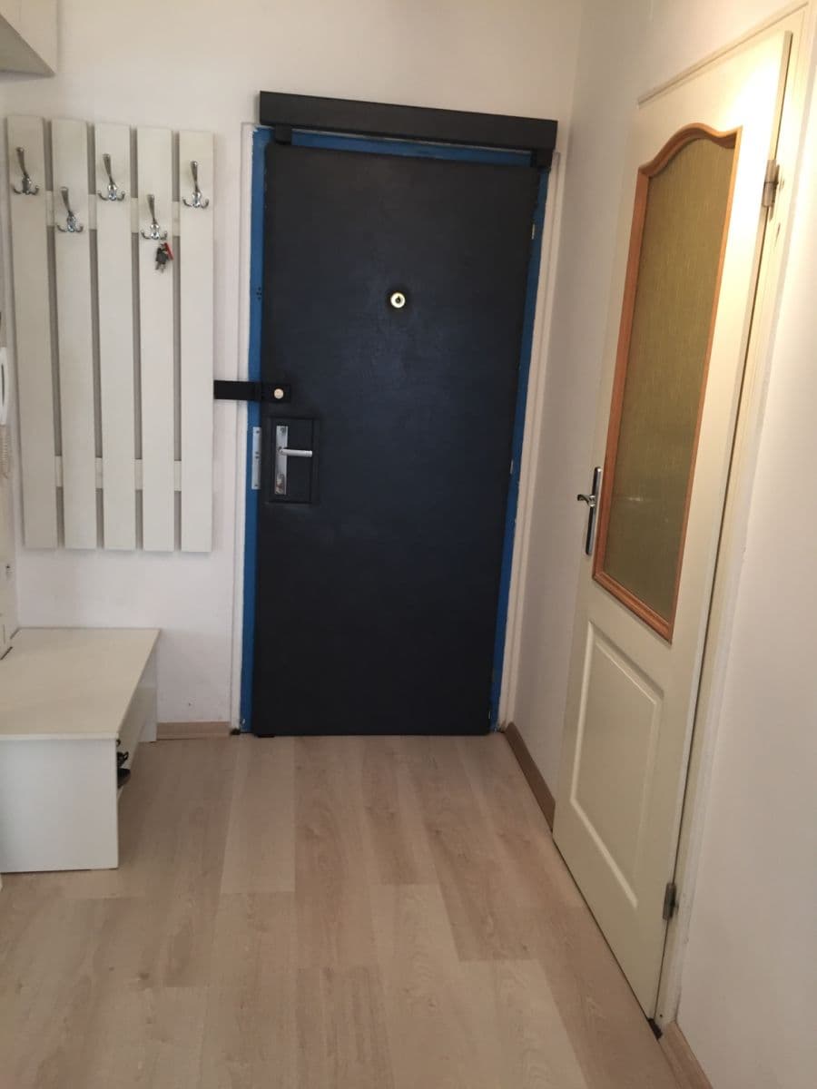 1 bedroom with open-plan kitchen flat to rent, 43 m², Hrdličkova, Prague, Prague 1 bedroom with open-plan kitchen flat to rent, 43 m², Hrdličkova, Prague, Prague