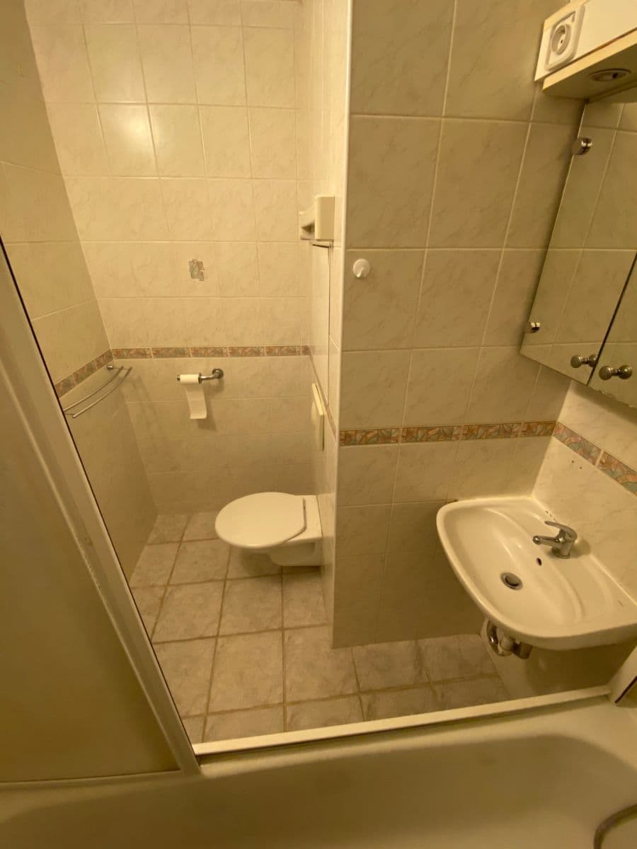1 bedroom with open-plan kitchen flat to rent, 43 m², Hrdličkova, Prague, Prague 1 bedroom with open-plan kitchen flat to rent, 43 m², Hrdličkova, Prague, Prague