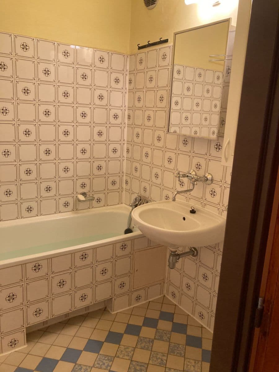 1 bedroom with open-plan kitchen flat to rent, 46 m², Aubrechtové, Prague, Prague 1 bedroom with open-plan kitchen flat to rent, 46 m², Aubrechtové, Prague, Prague