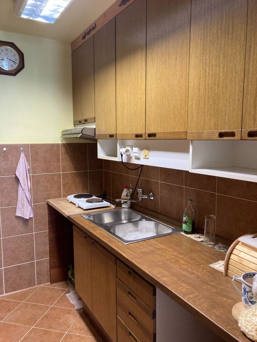 1 bedroom with open-plan kitchen flat to rent, 46 m², Aubrechtové, Prague, Prague 1 bedroom with open-plan kitchen flat to rent, 46 m², Aubrechtové, Prague, Prague