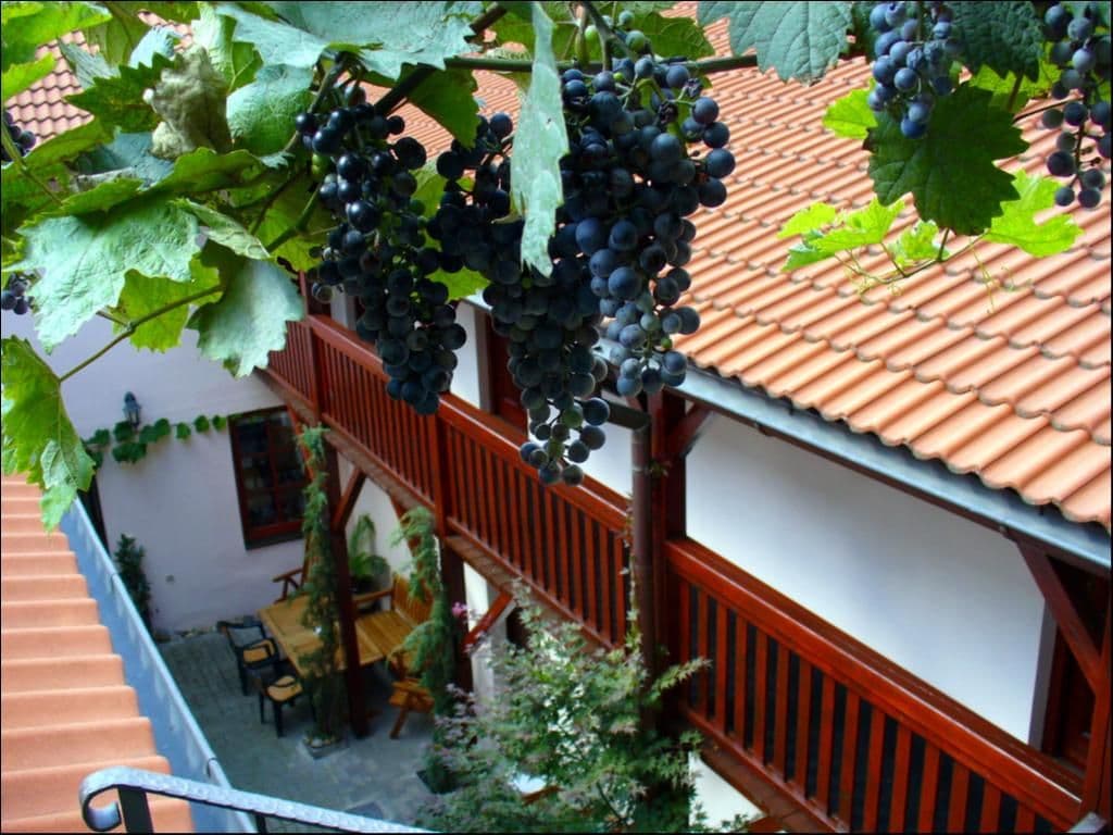 1 bedroom with open-plan kitchen flat to rent, 38 m², Na Vinohradu, Prague, Prague 1 bedroom with open-plan kitchen flat to rent, 38 m², Na Vinohradu, Prague, Prague