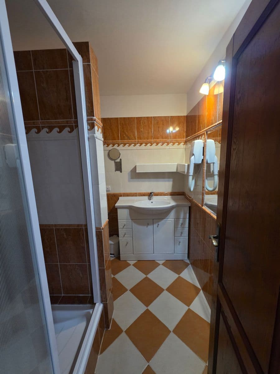 1 bedroom with open-plan kitchen flat to rent, 38 m², Na Vinohradu, Prague, Prague 1 bedroom with open-plan kitchen flat to rent, 38 m², Na Vinohradu, Prague, Prague