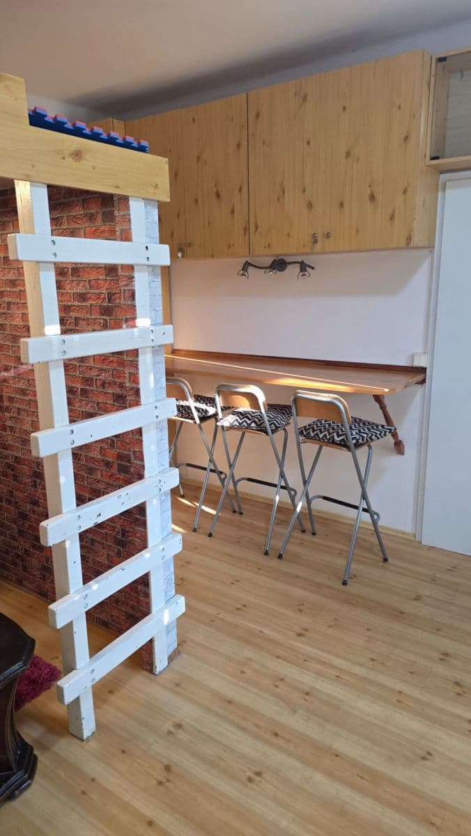 Studio flat to rent, 24 m², Křížová, Prague, Prague Studio flat to rent, 24 m², Křížová, Prague, Prague