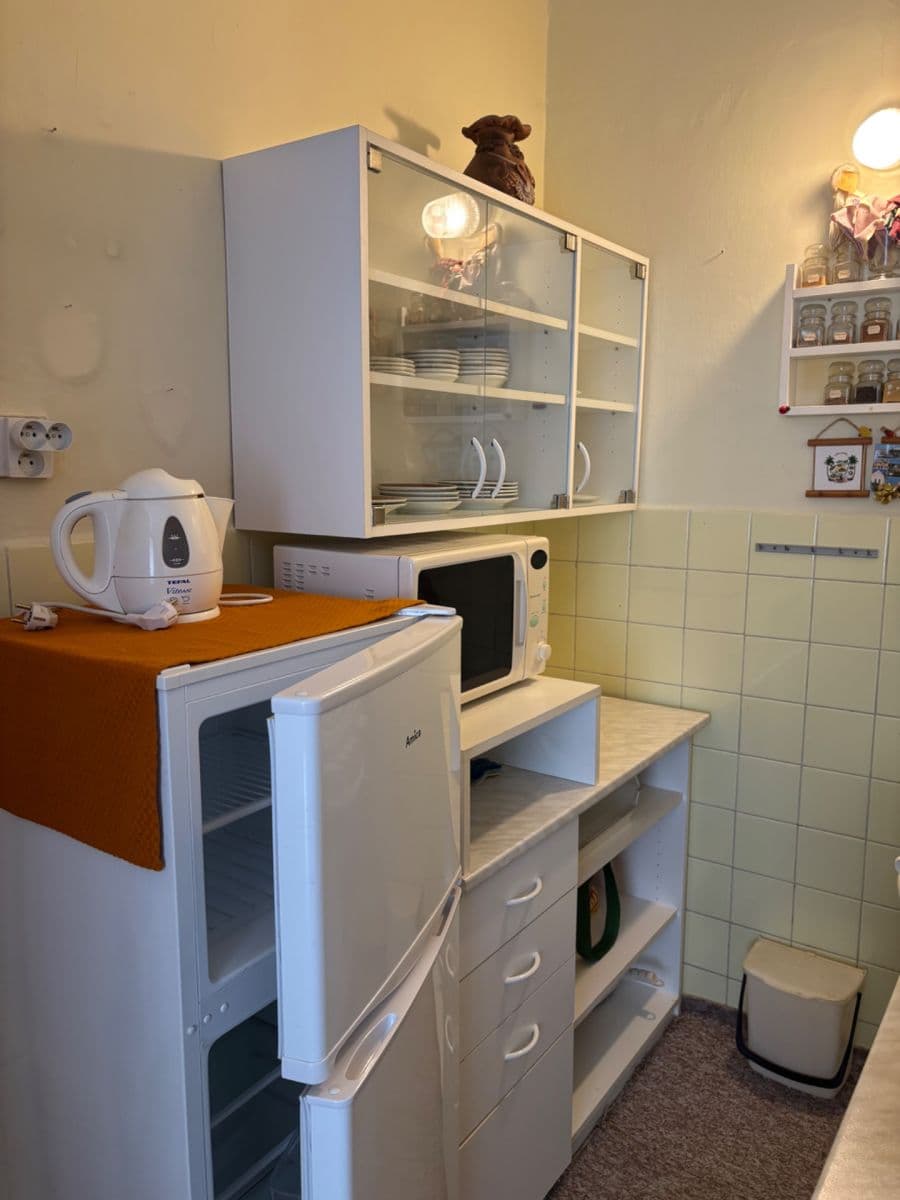1 bedroom with open-plan kitchen flat to rent, 53 m², Dačického, Prague, Prague 1 bedroom with open-plan kitchen flat to rent, 53 m², Dačického, Prague, Prague