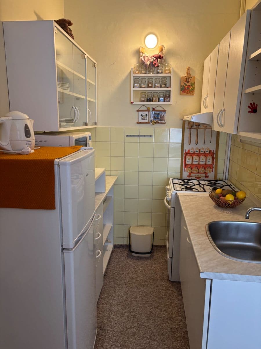 1 bedroom with open-plan kitchen flat to rent, 53 m², Dačického, Prague, Prague 1 bedroom with open-plan kitchen flat to rent, 53 m², Dačického, Prague, Prague
