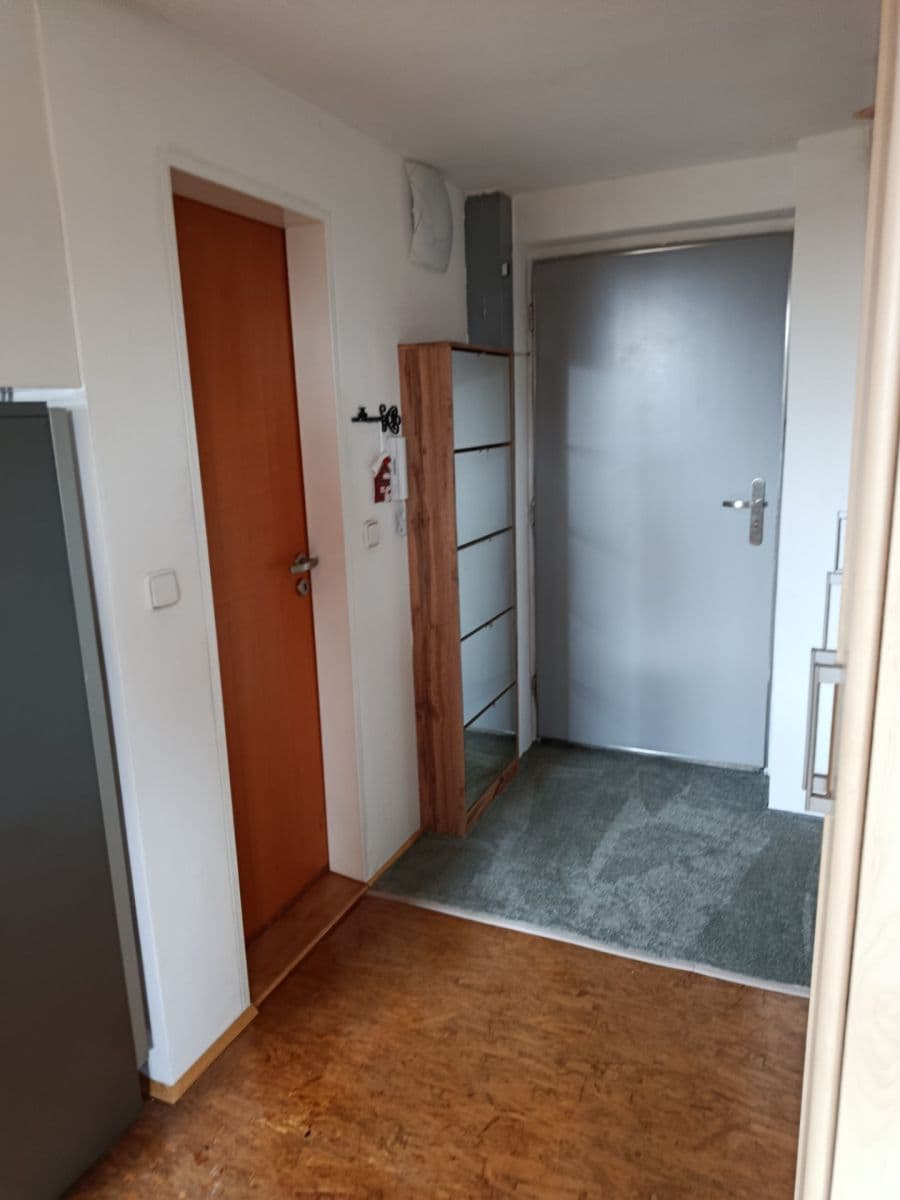Studio flat to rent, 50 m², Václavkova, Prague, Prague Studio flat to rent, 50 m², Václavkova, Prague, Prague