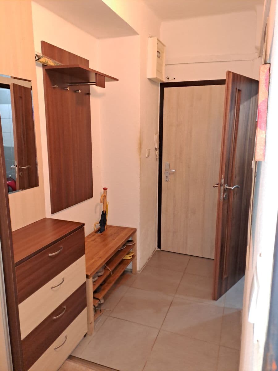 1 bedroom with open-plan kitchen flat to rent, 51 m², Na Balkáně, Prague, Prague 1 bedroom with open-plan kitchen flat to rent, 51 m², Na Balkáně, Prague, Prague