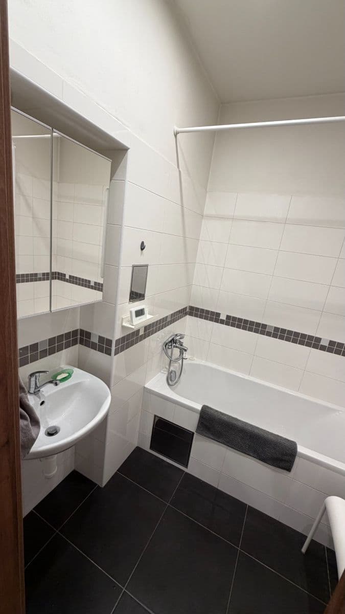 1 bedroom with open-plan kitchen flat to rent, 54 m², Holandská, Prague, Prague 1 bedroom with open-plan kitchen flat to rent, 54 m², Holandská, Prague, Prague