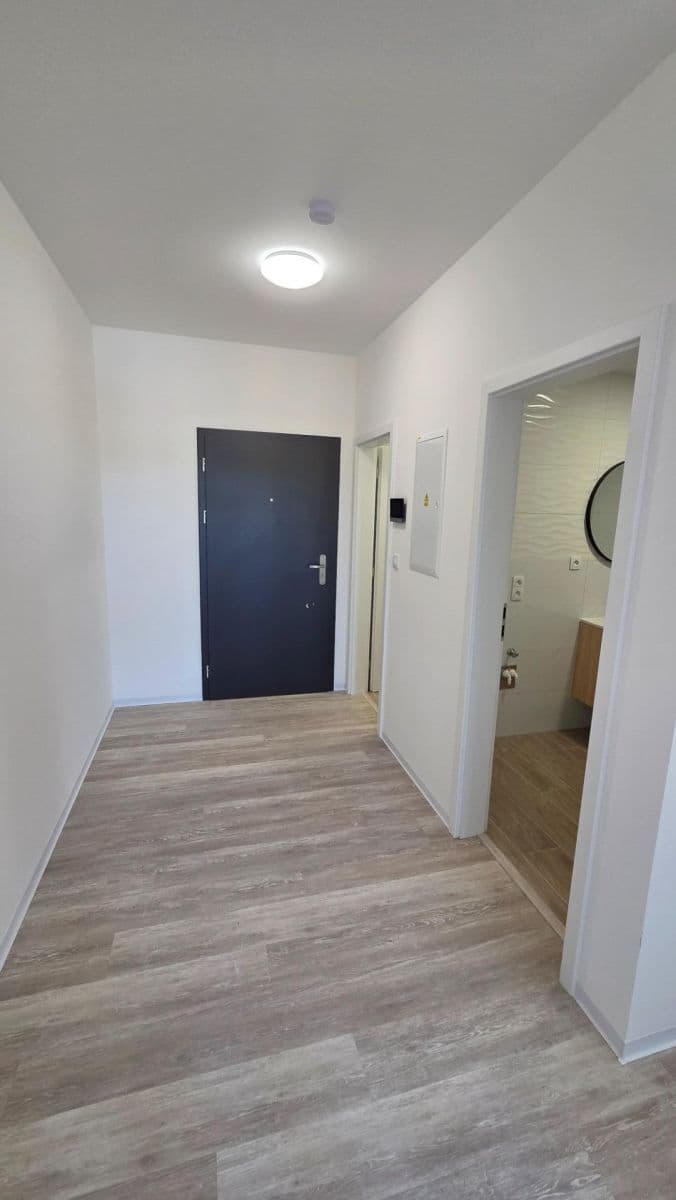 1 bedroom with open-plan kitchen flat to rent, 60 m², Pražská, Velké Přílepy, Středočeský Region 1 bedroom with open-plan kitchen flat to rent, 60 m², Pražská, Velké Přílepy, Středočeský Region