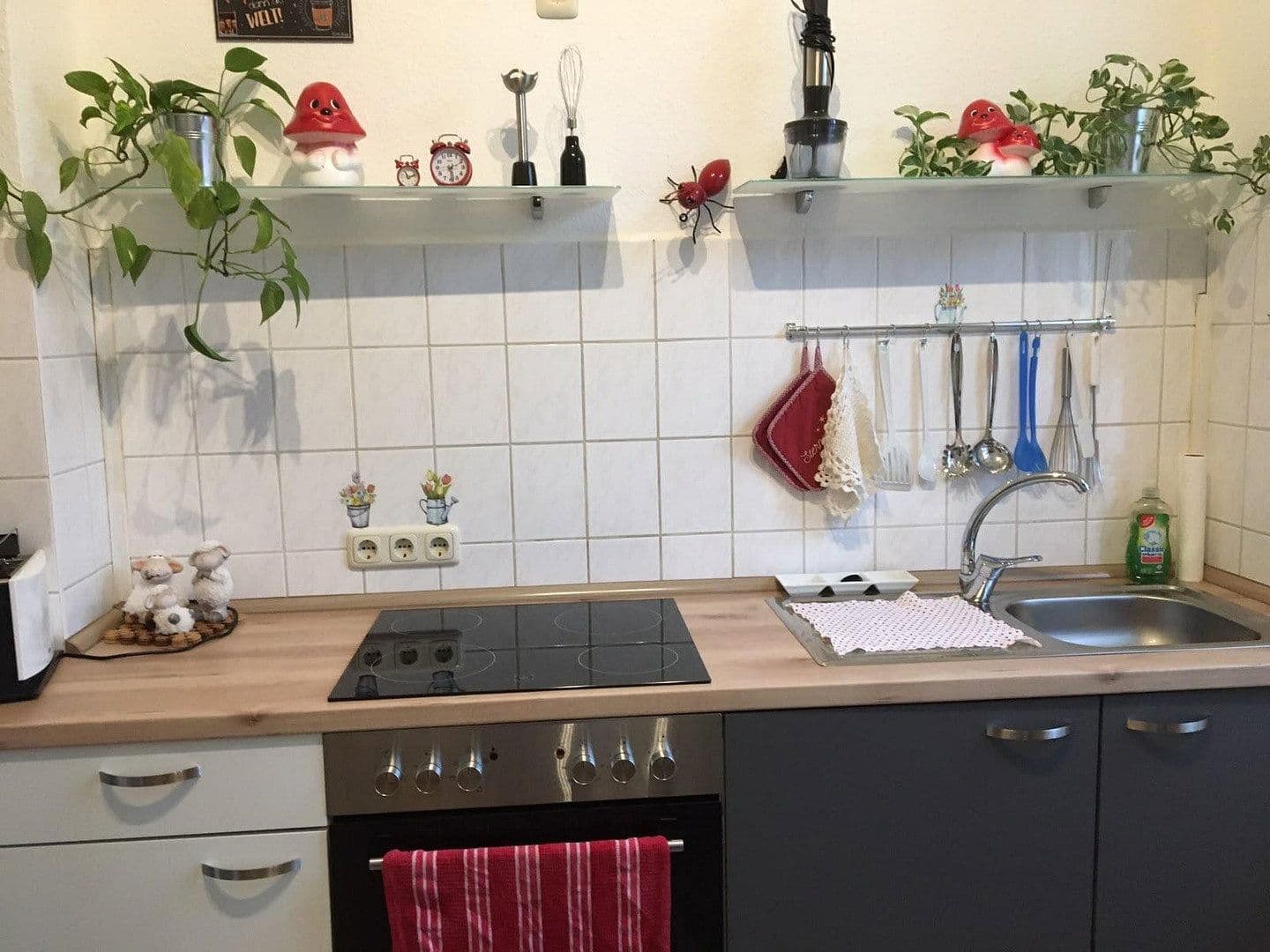 3 bedroom flat to rent, 72 m², Güstrow, Mecklenburg-Vorpommern 3 bedroom flat to rent, 72 m², Güstrow, Mecklenburg-Vorpommern