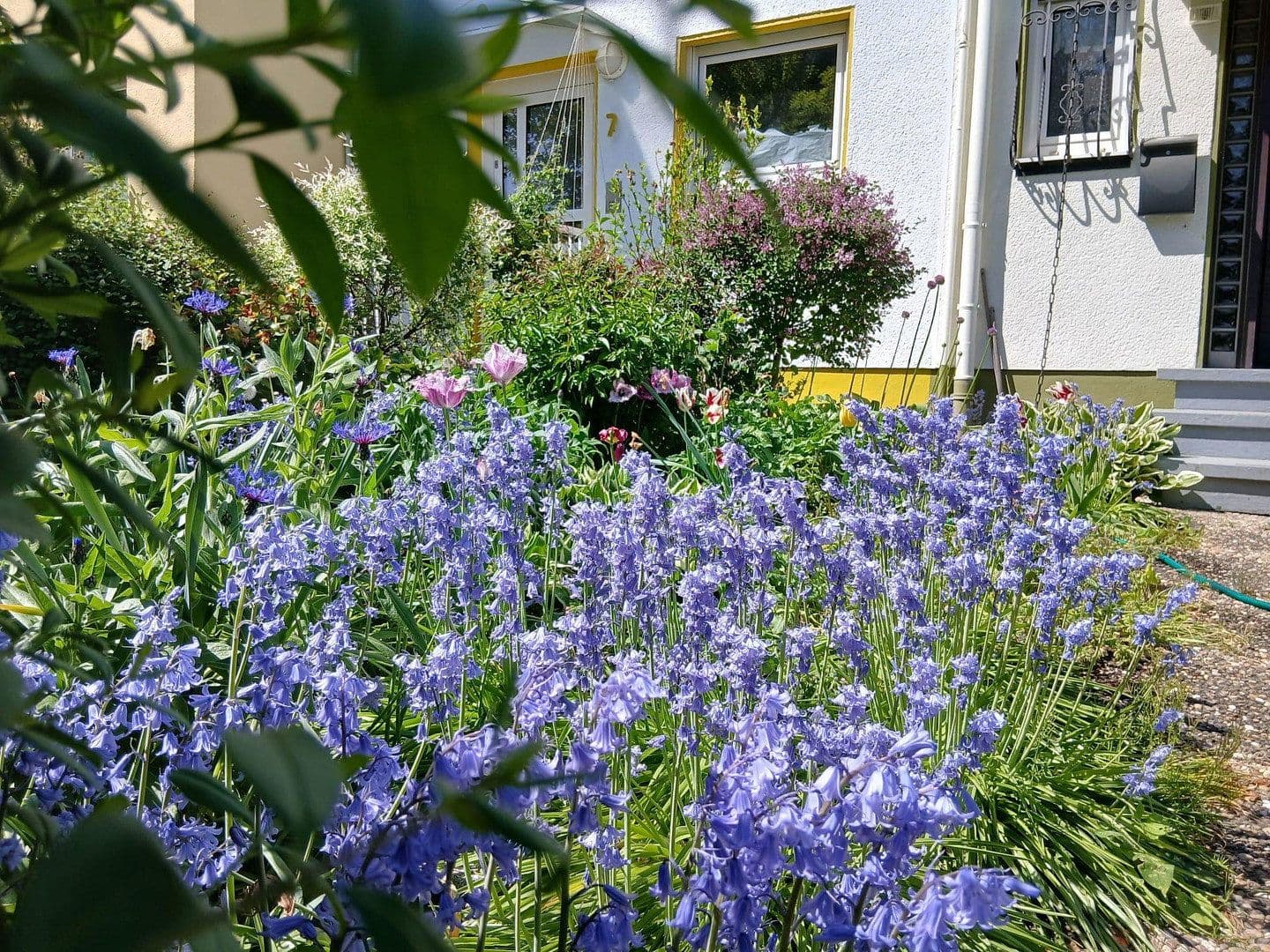 house for sale, 157 m², Frankfurt am Main, Hesse house for sale, 157 m², Frankfurt am Main, Hesse