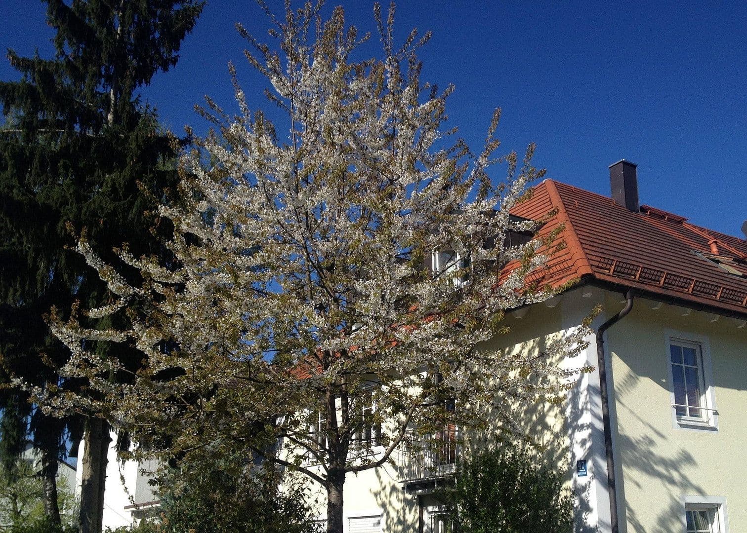 3 bedroom flat to rent, 90 m², München, Bavaria 3 bedroom flat to rent, 90 m², München, Bavaria
