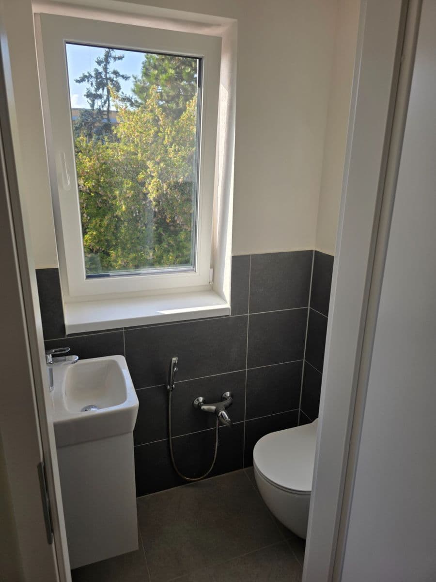 1 bedroom with open-plan kitchen flat to rent, 45 m², K Lipám, Prague, Prague 1 bedroom with open-plan kitchen flat to rent, 45 m², K Lipám, Prague, Prague