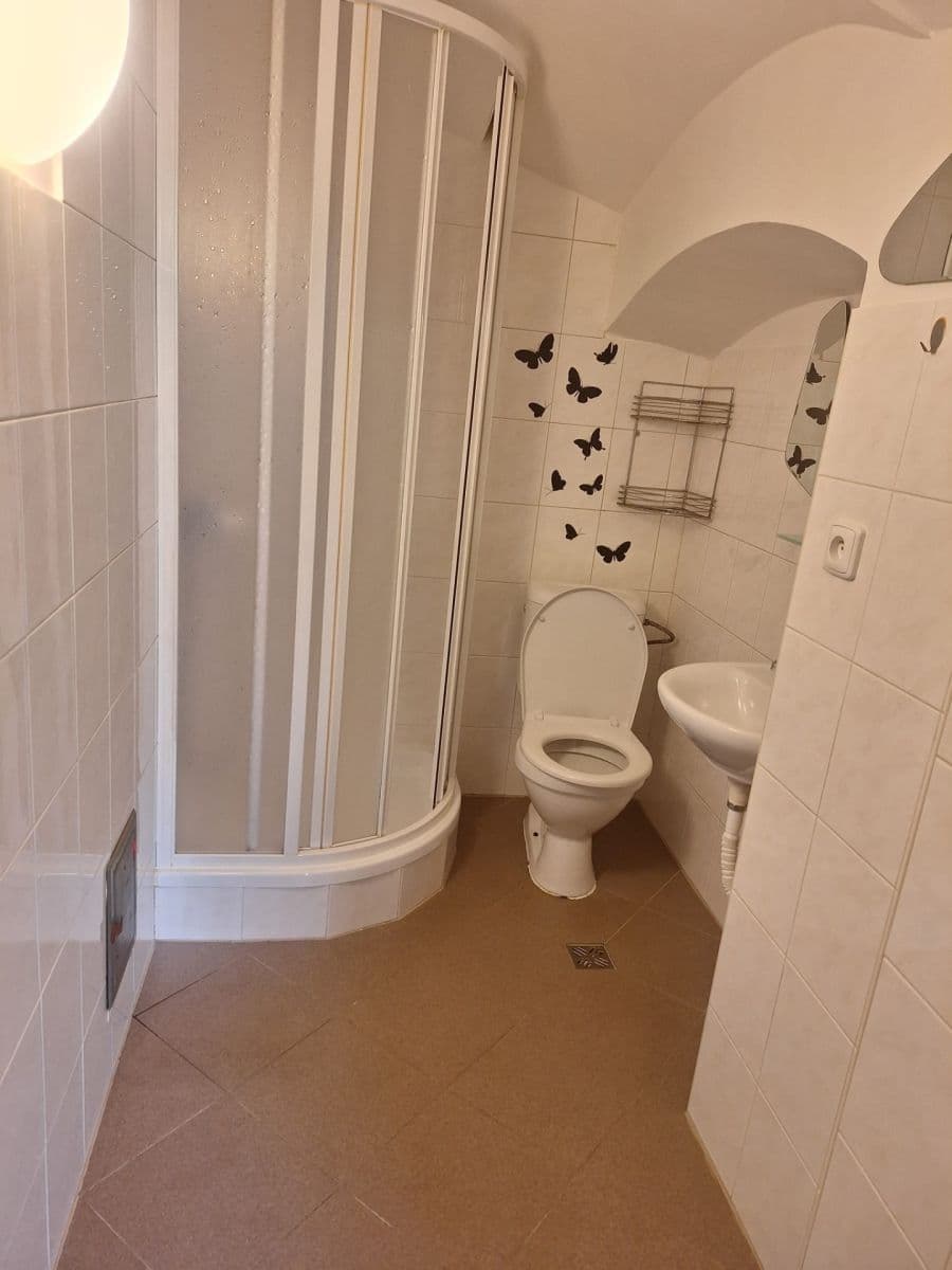 Small studio flat to rent, 31 m², Družstevní, Kněževes, Středočeský Region Small studio flat to rent, 31 m², Družstevní, Kněževes, Středočeský Region