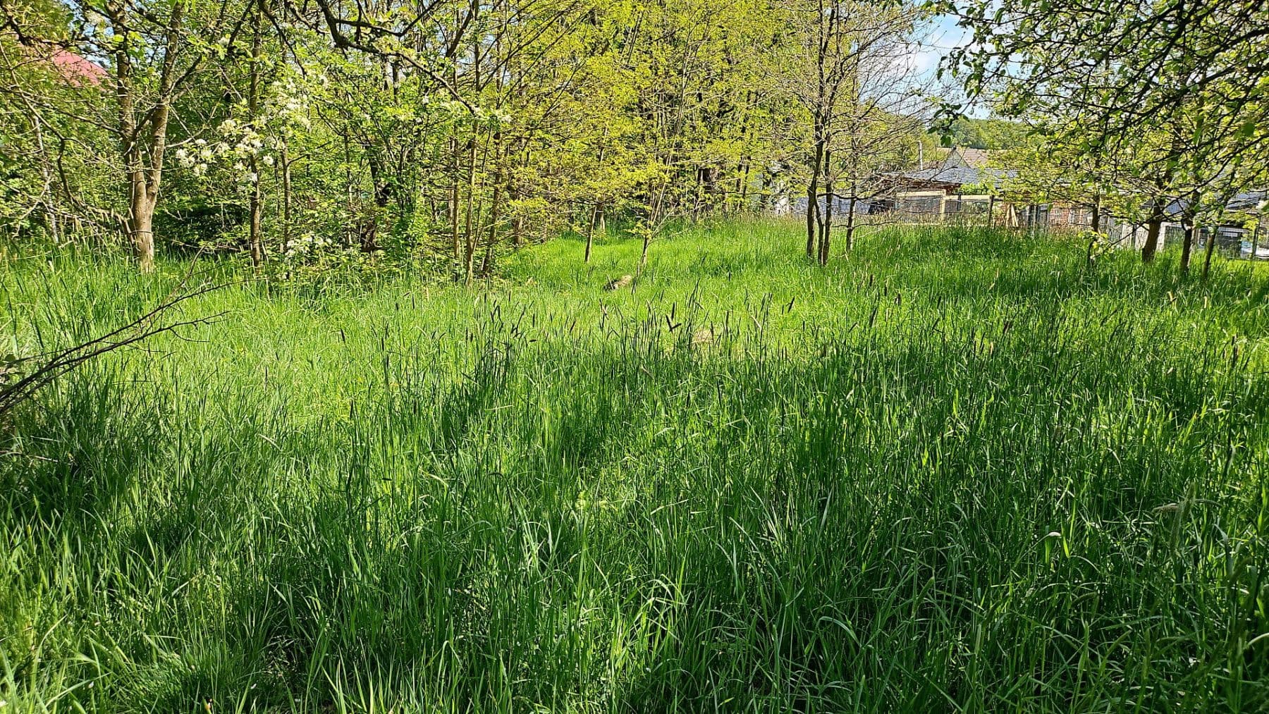 plot for sale, 726 m², Hauptstraße 26, Busenhausen, Rhineland-Palatinate plot for sale, 726 m², Hauptstraße 26, Busenhausen, Rhineland-Palatinate