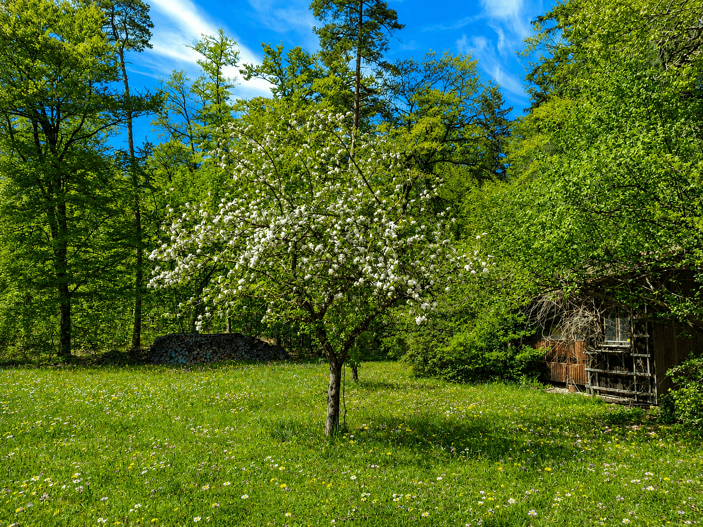 house for sale, 250 m², Emmerting, Bavaria house for sale, 250 m², Emmerting, Bavaria
