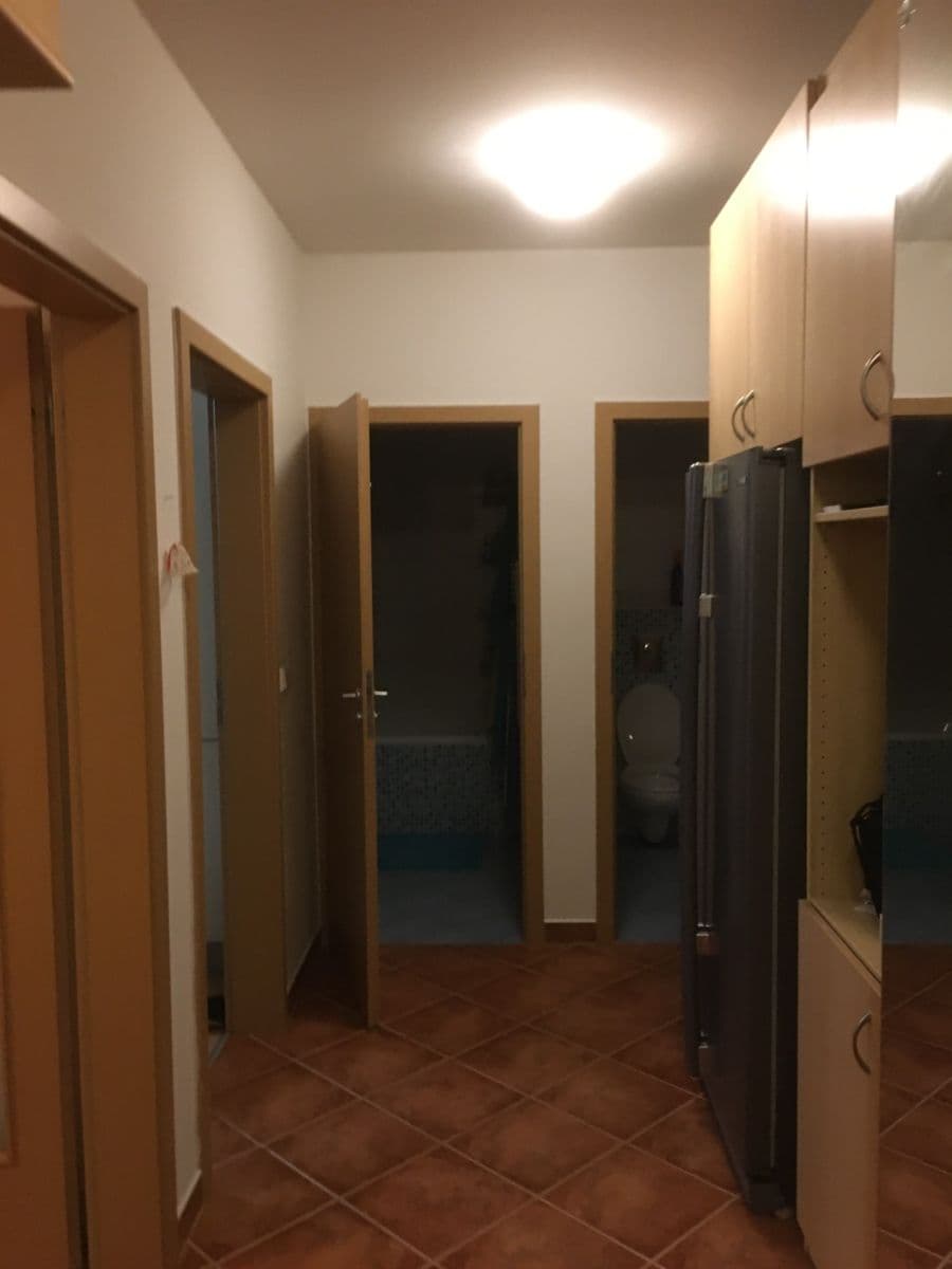 1 bedroom with open-plan kitchen flat to rent, 50 m², U Domu služeb, Prague, Prague 1 bedroom with open-plan kitchen flat to rent, 50 m², U Domu služeb, Prague, Prague