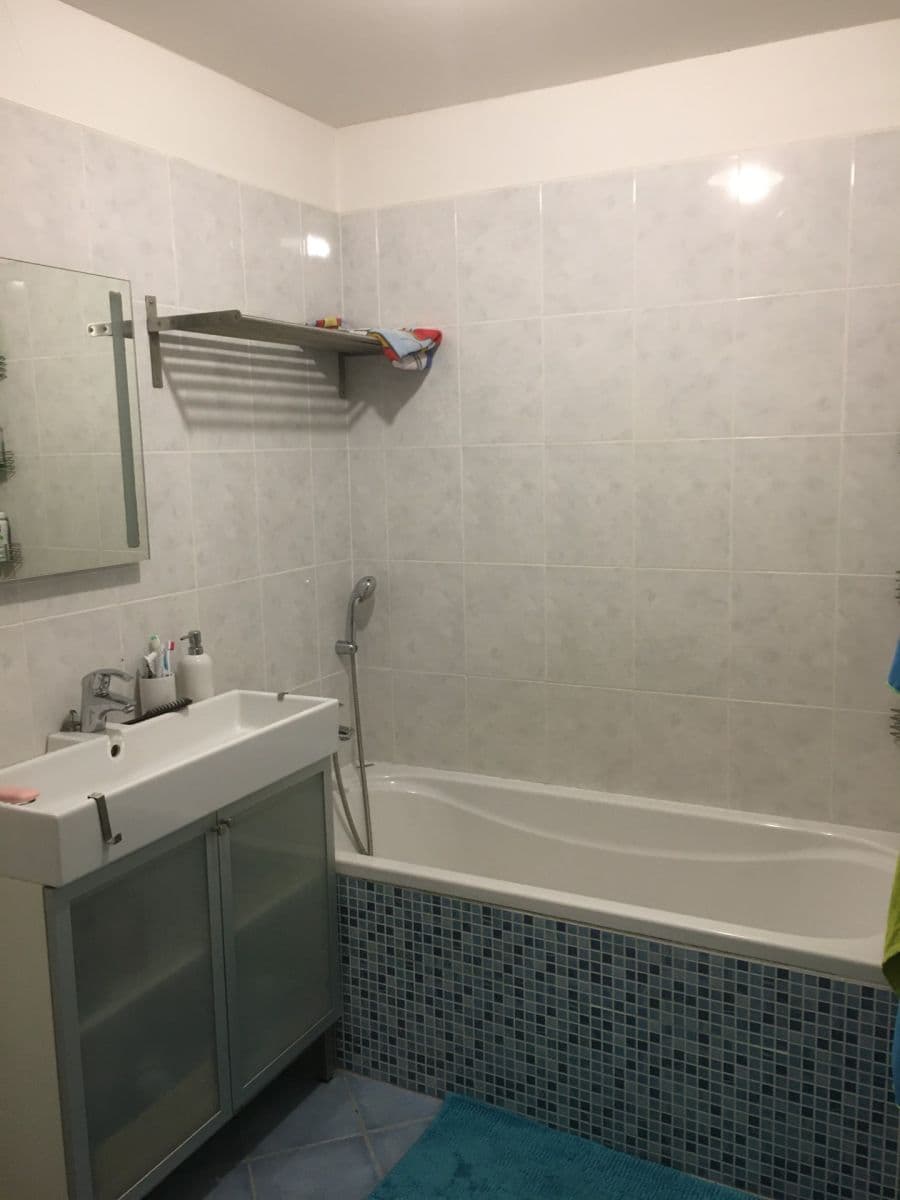 1 bedroom with open-plan kitchen flat to rent, 50 m², U Domu služeb, Prague, Prague 1 bedroom with open-plan kitchen flat to rent, 50 m², U Domu služeb, Prague, Prague