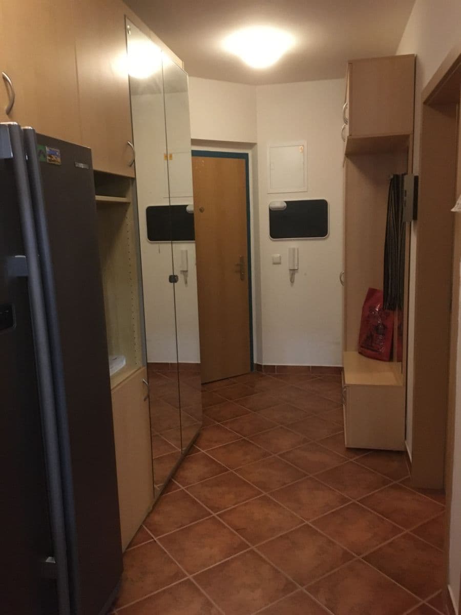 1 bedroom with open-plan kitchen flat to rent, 50 m², U Domu služeb, Prague, Prague 1 bedroom with open-plan kitchen flat to rent, 50 m², U Domu služeb, Prague, Prague