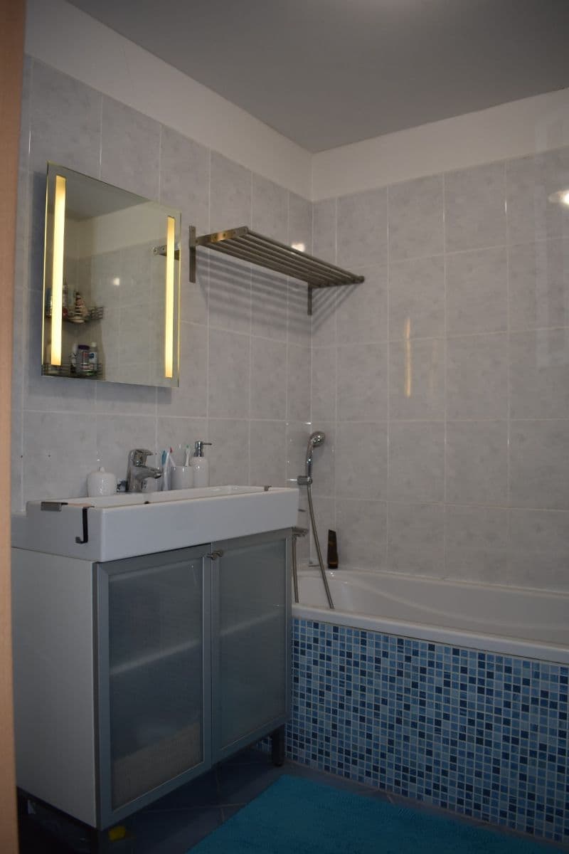 1 bedroom with open-plan kitchen flat to rent, 50 m², U Domu služeb, Prague, Prague 1 bedroom with open-plan kitchen flat to rent, 50 m², U Domu služeb, Prague, Prague