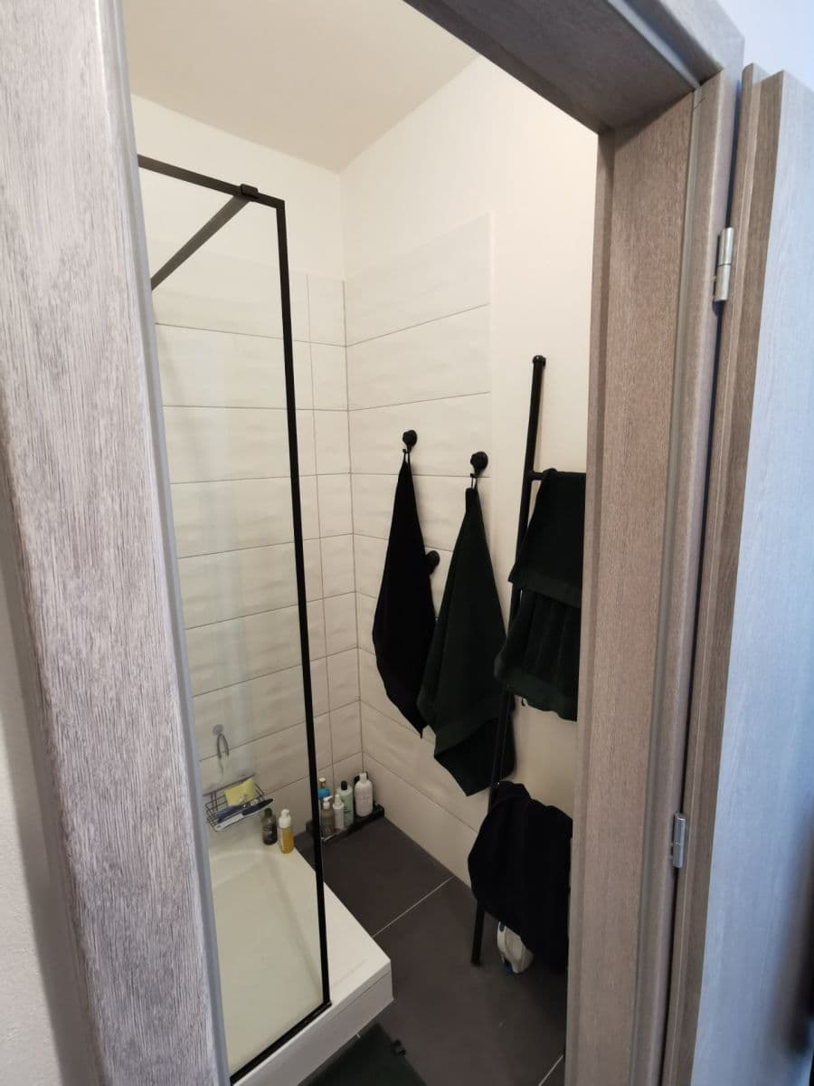 1 bedroom with open-plan kitchen flat to rent, 50 m², Nopova, Brno, Jihomoravský Region 1 bedroom with open-plan kitchen flat to rent, 50 m², Nopova, Brno, Jihomoravský Region