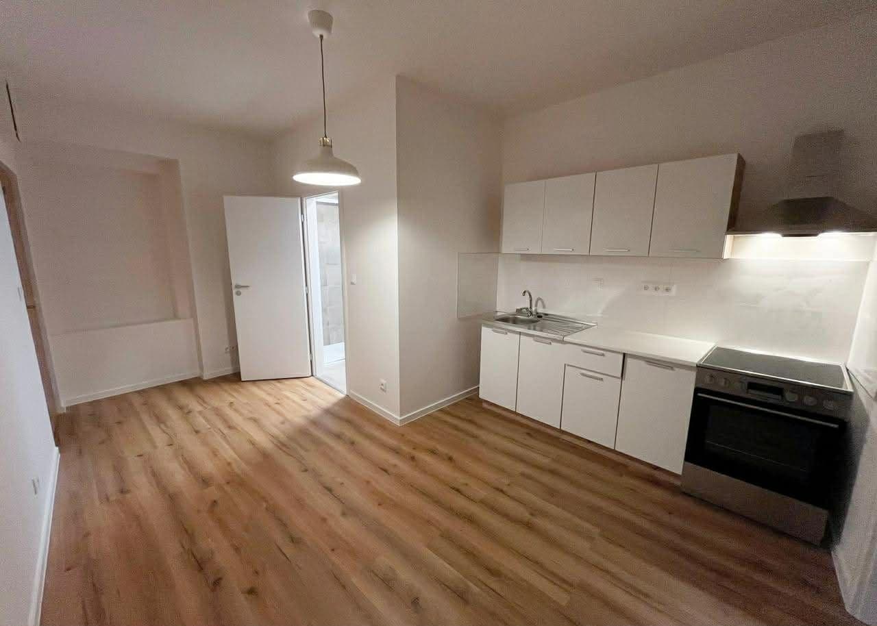 1 bedroom with open-plan kitchen flat to rent, 40 m², Na Zlíchově, Prague, Prague 1 bedroom with open-plan kitchen flat to rent, 40 m², Na Zlíchově, Prague, Prague