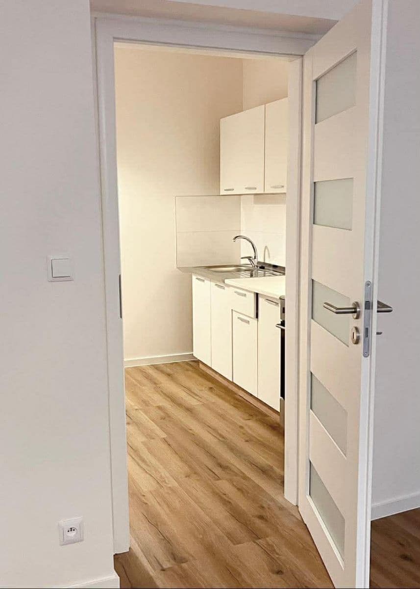 1 bedroom with open-plan kitchen flat to rent, 40 m², Na Zlíchově, Prague, Prague 1 bedroom with open-plan kitchen flat to rent, 40 m², Na Zlíchově, Prague, Prague