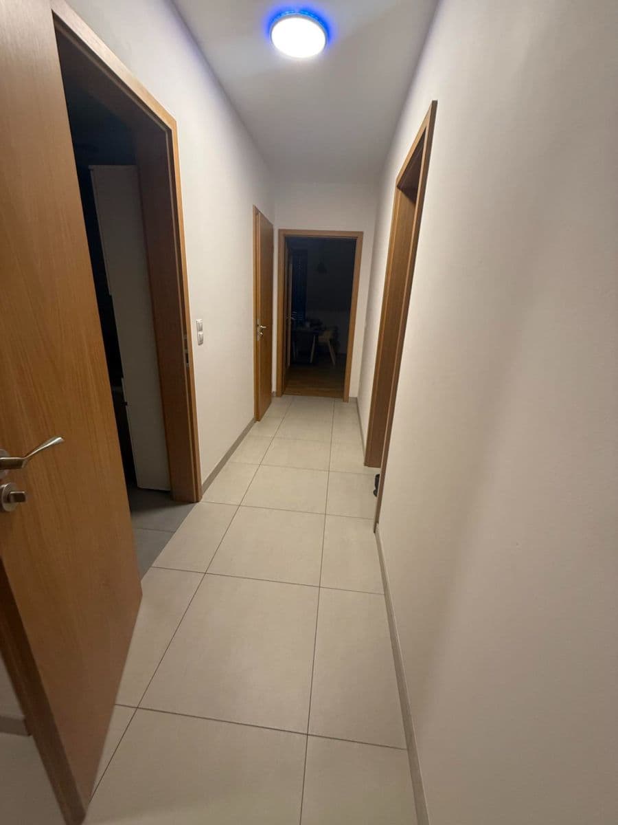 2 bedroom with open-plan kitchen flat to rent, 40 m², Kouteckého, Prague, Prague 2 bedroom with open-plan kitchen flat to rent, 40 m², Kouteckého, Prague, Prague