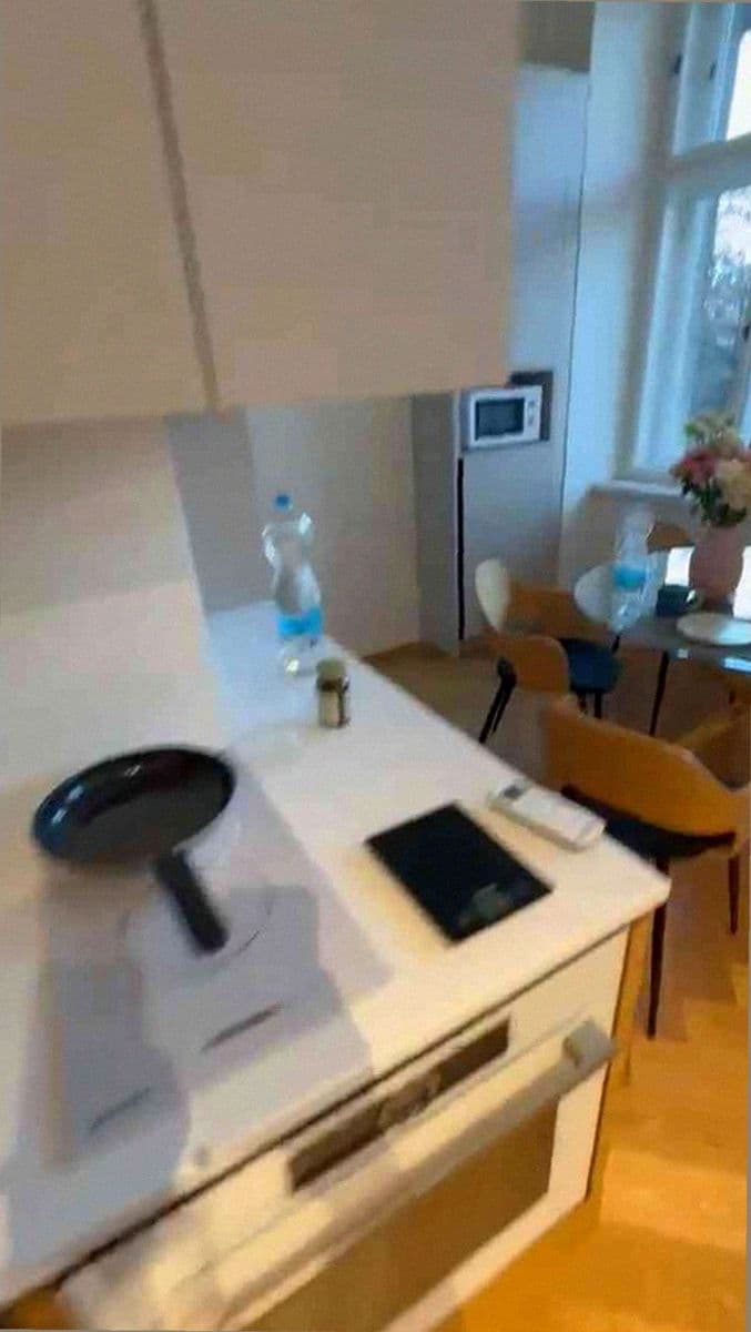 1 bedroom with open-plan kitchen flat to rent, 56 m², Na Bělidle, Prague, Prague 1 bedroom with open-plan kitchen flat to rent, 56 m², Na Bělidle, Prague, Prague