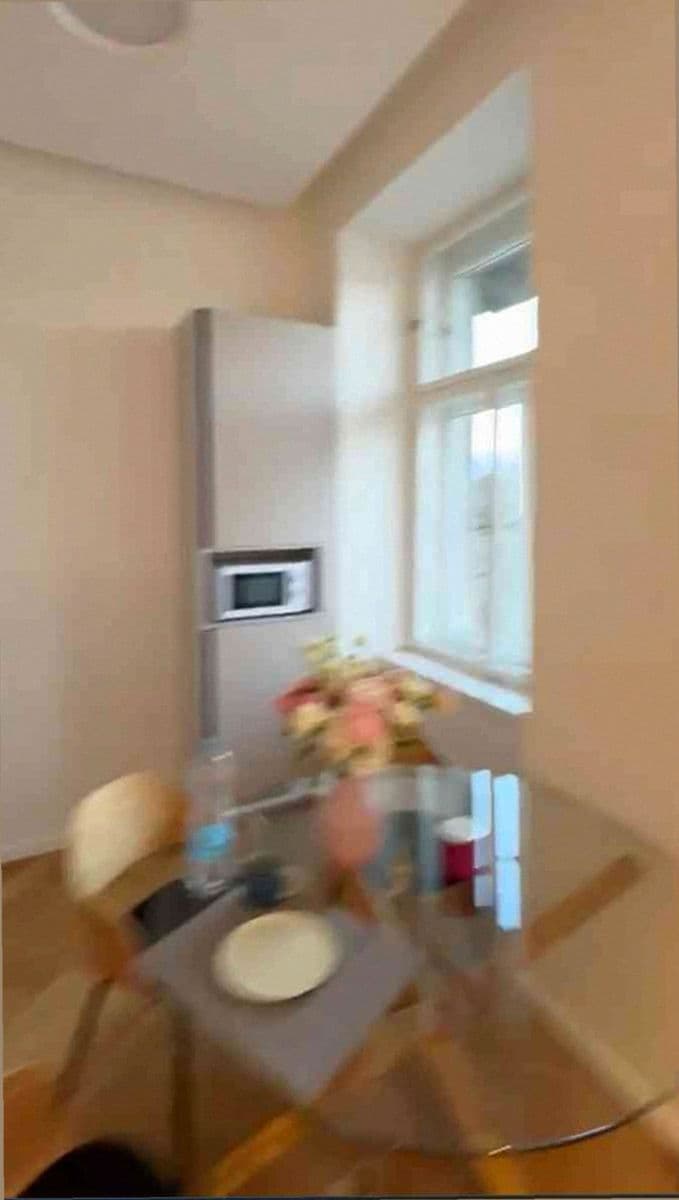 1 bedroom with open-plan kitchen flat to rent, 56 m², Na Bělidle, Prague, Prague 1 bedroom with open-plan kitchen flat to rent, 56 m², Na Bělidle, Prague, Prague