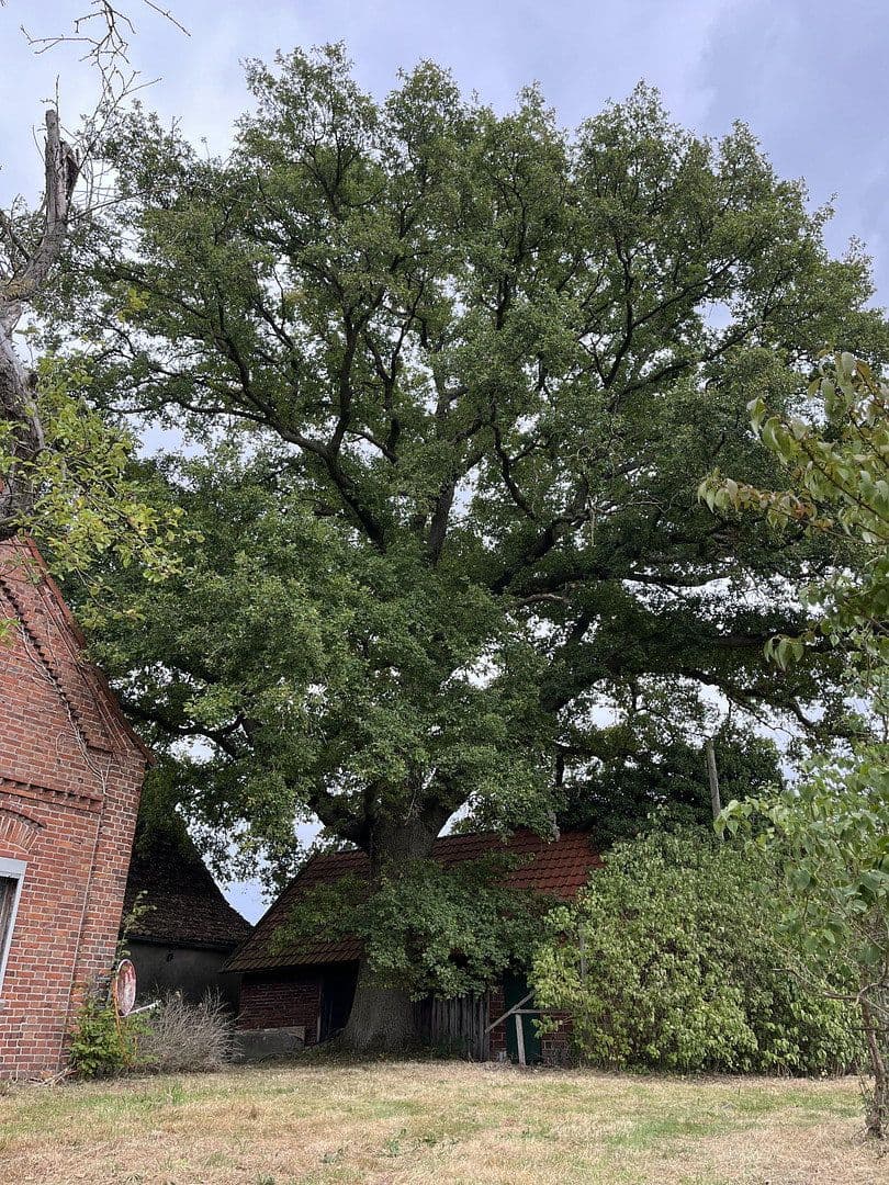 house for sale, 160 m², Stemwede, North Rhine-Westphalia house for sale, 160 m², Stemwede, North Rhine-Westphalia