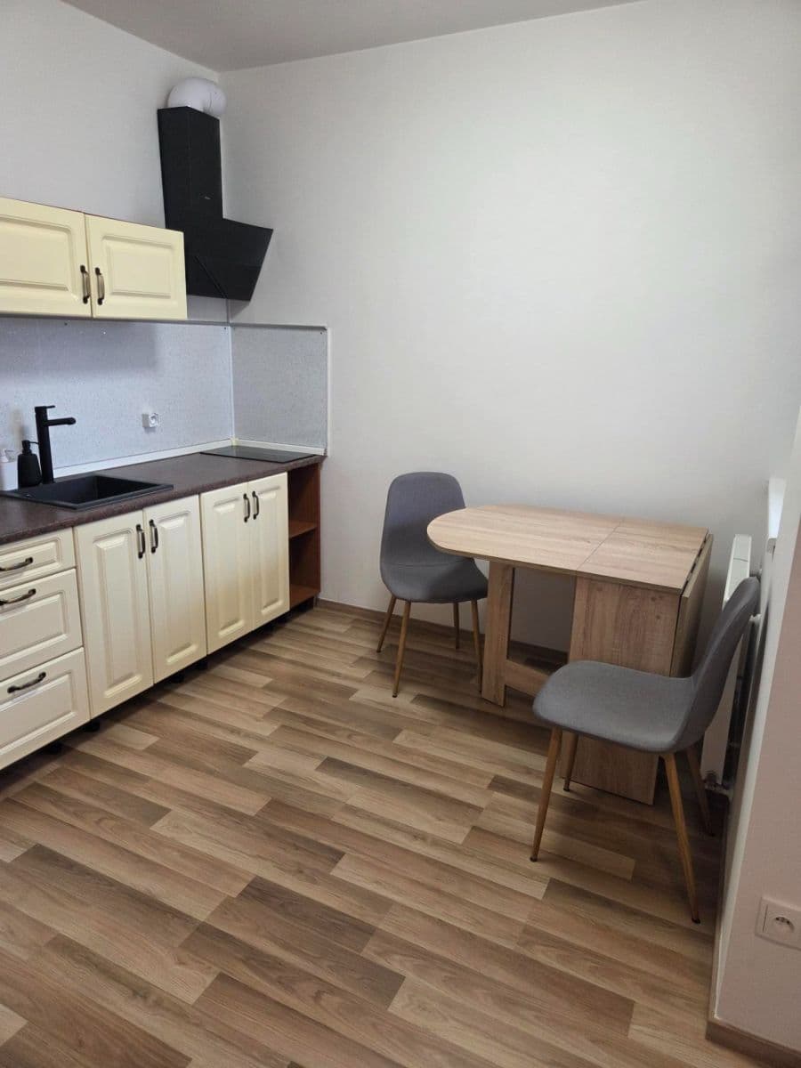 Studio flat to rent, 29 m², Oty Bubeníčka, Prague, Prague Studio flat to rent, 29 m², Oty Bubeníčka, Prague, Prague
