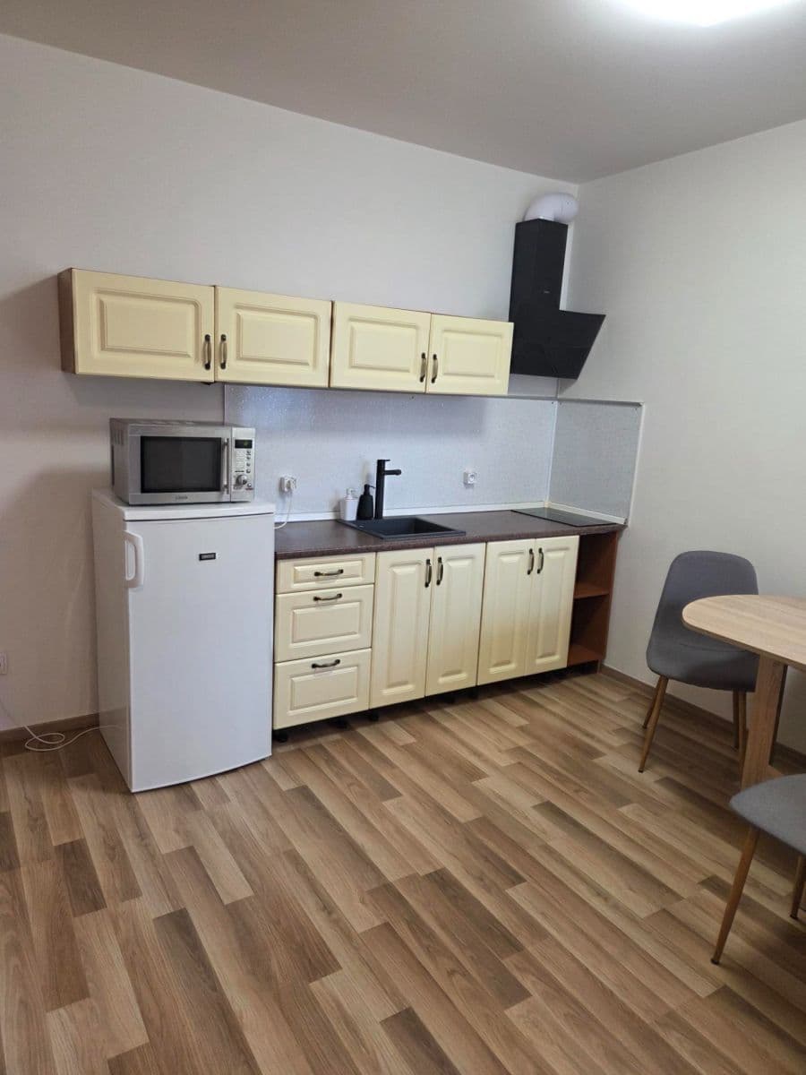 Studio flat to rent, 29 m², Oty Bubeníčka, Prague, Prague Studio flat to rent, 29 m², Oty Bubeníčka, Prague, Prague