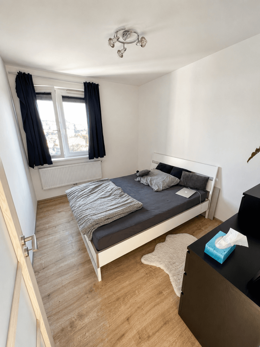 1 bedroom with open-plan kitchen flat to rent, 43 m², Freyova, Prague, Prague 1 bedroom with open-plan kitchen flat to rent, 43 m², Freyova, Prague, Prague