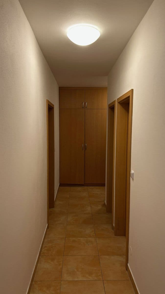 1 bedroom with open-plan kitchen flat to rent, 73 m², Na Terasách, Plzeň, Plzeňský Region 1 bedroom with open-plan kitchen flat to rent, 73 m², Na Terasách, Plzeň, Plzeňský Region
