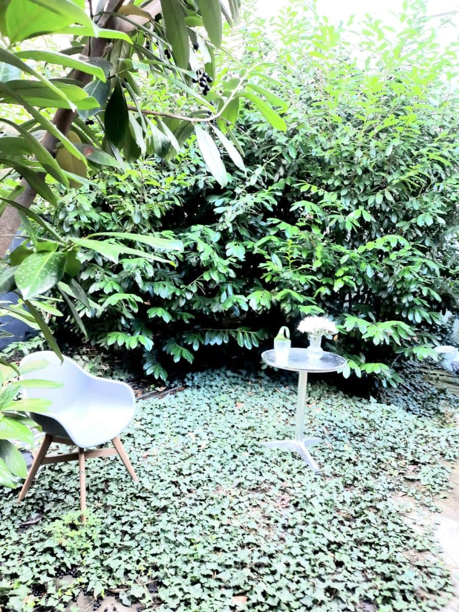 Studio flat to rent, 16 m², Vlkova, Prague, Prague Studio flat to rent, 16 m², Vlkova, Prague, Prague
