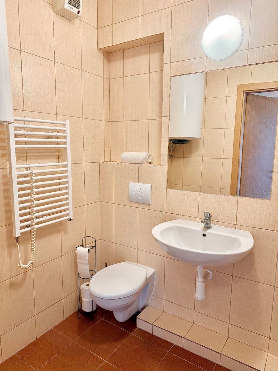 1 bedroom with open-plan kitchen flat for sale, 44 m², Sokolovská, Čelákovice, Středočeský Region 1 bedroom with open-plan kitchen flat for sale, 44 m², Sokolovská, Čelákovice, Středočeský Region