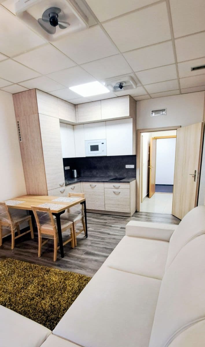 1 bedroom with open-plan kitchen flat to rent, 46 m², Příkop, Brno, Jihomoravský Region 1 bedroom with open-plan kitchen flat to rent, 46 m², Příkop, Brno, Jihomoravský Region