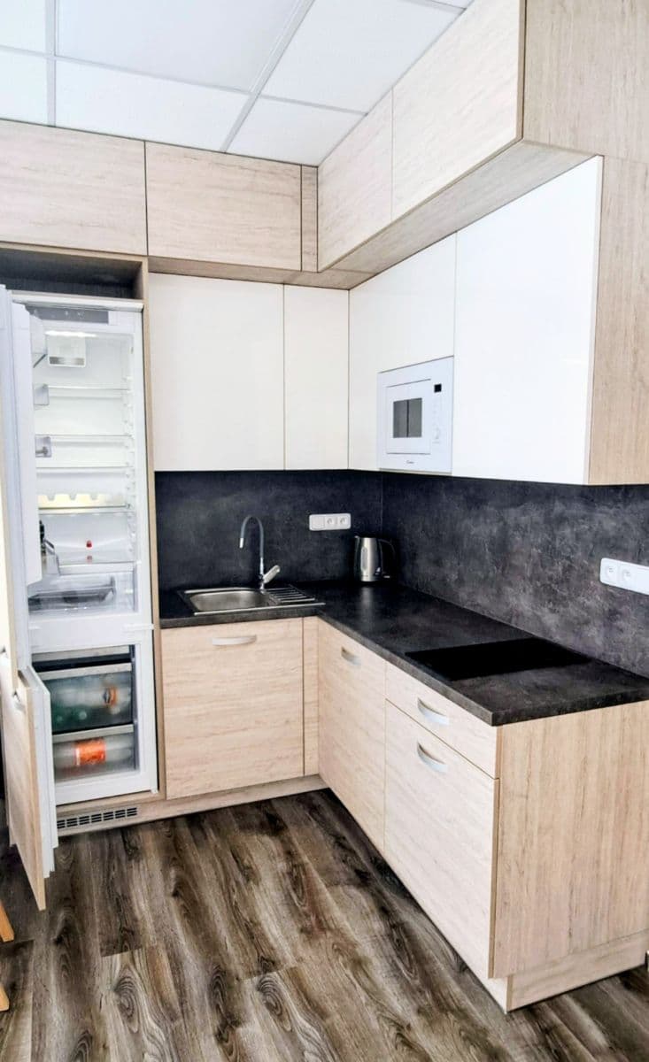 1 bedroom with open-plan kitchen flat to rent, 46 m², Příkop, Brno, Jihomoravský Region 1 bedroom with open-plan kitchen flat to rent, 46 m², Příkop, Brno, Jihomoravský Region