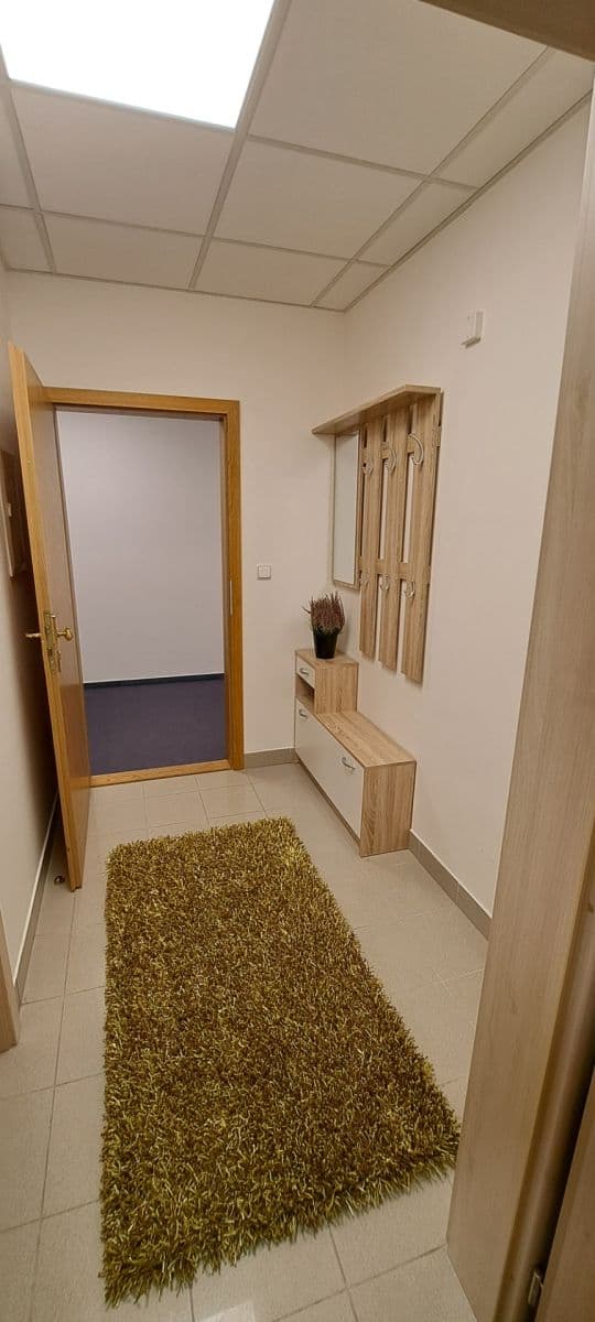 1 bedroom with open-plan kitchen flat to rent, 46 m², Příkop, Brno, Jihomoravský Region 1 bedroom with open-plan kitchen flat to rent, 46 m², Příkop, Brno, Jihomoravský Region