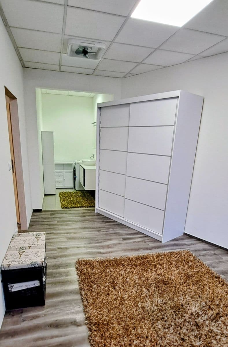 1 bedroom with open-plan kitchen flat to rent, 46 m², Příkop, Brno, Jihomoravský Region 1 bedroom with open-plan kitchen flat to rent, 46 m², Příkop, Brno, Jihomoravský Region