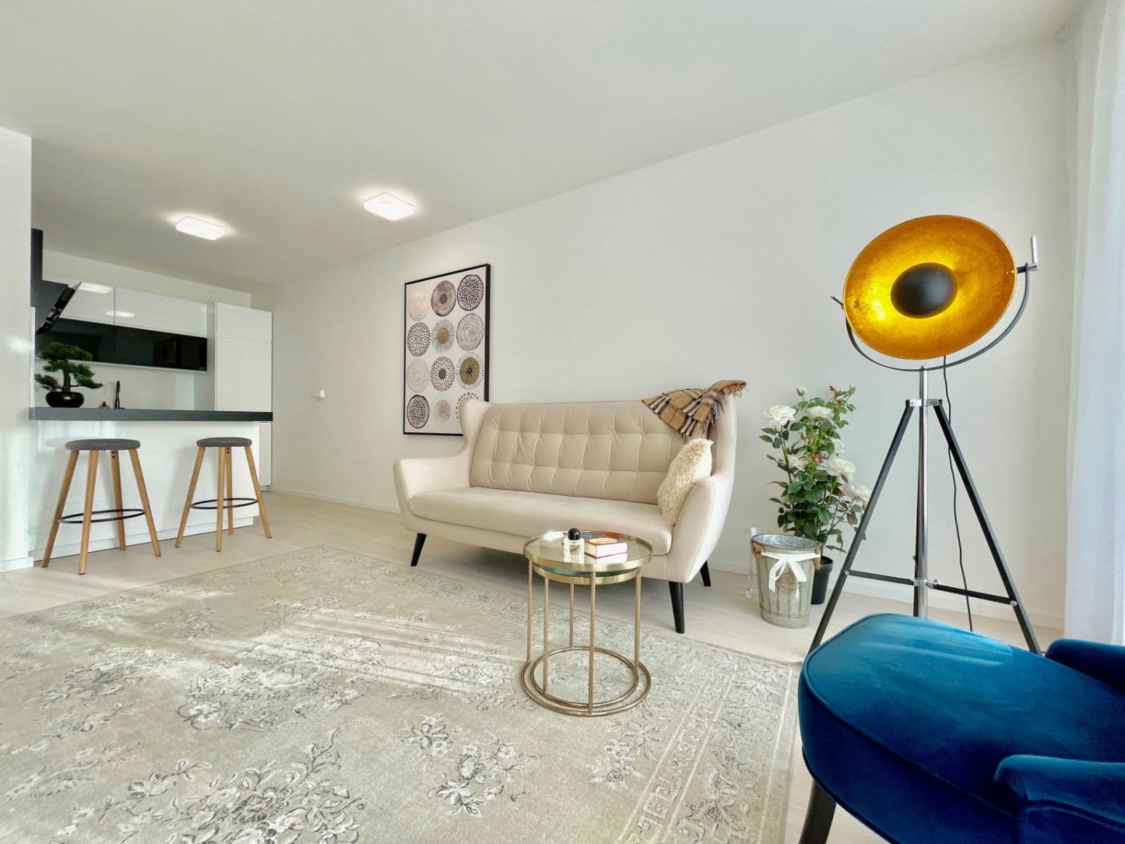 1 bedroom with open-plan kitchen flat to rent, 53 m², Nekvasilova, Prague, Prague 1 bedroom with open-plan kitchen flat to rent, 53 m², Nekvasilova, Prague, Prague