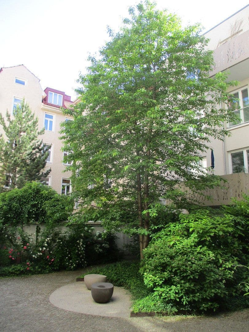3 bedroom flat to rent, 78 m², München, Bavaria 3 bedroom flat to rent, 78 m², München, Bavaria