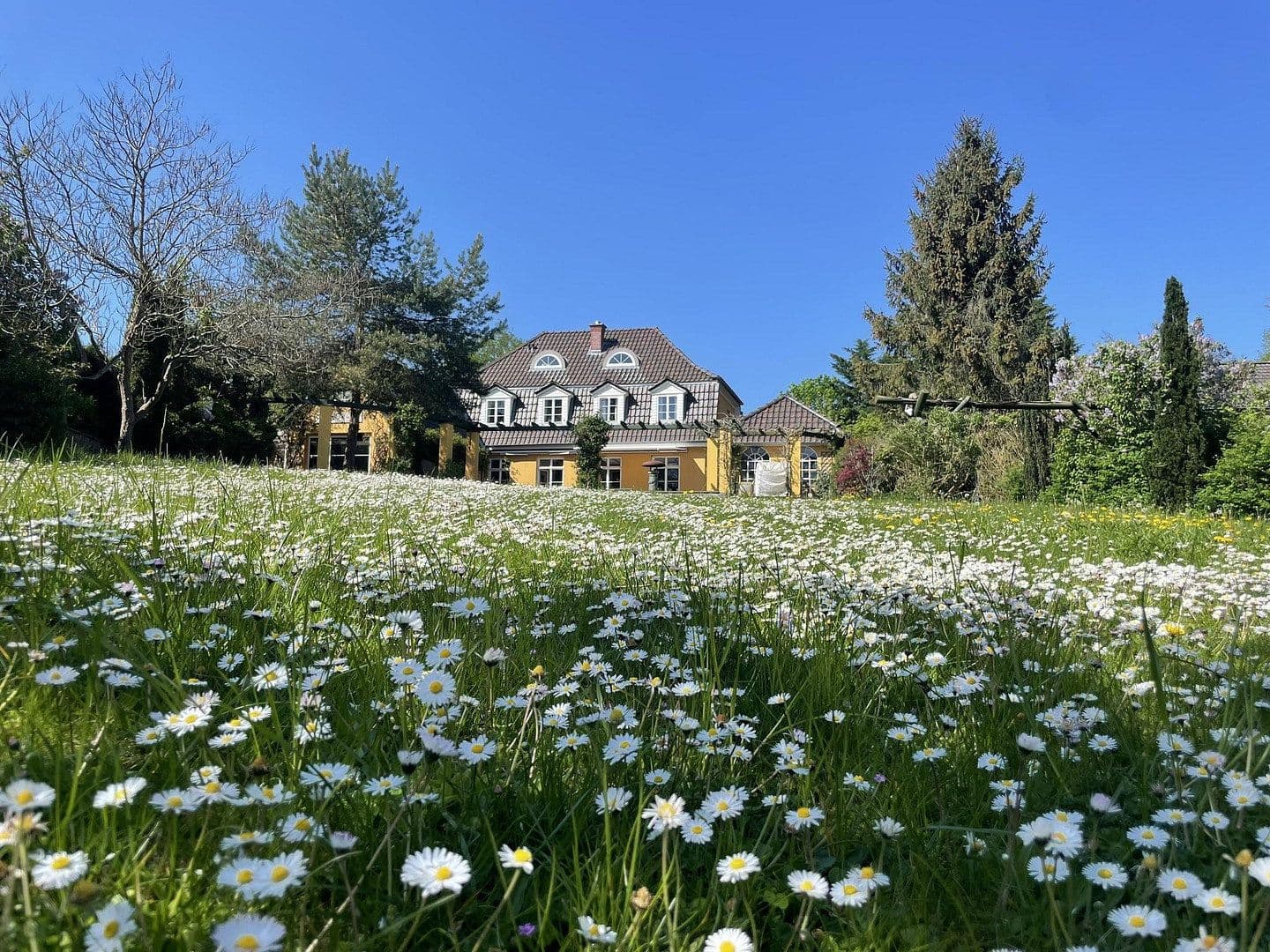 house for sale, 280 m², Kiel, Schleswig-Holstein house for sale, 280 m², Kiel, Schleswig-Holstein