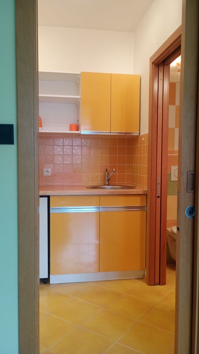 Studio flat to rent, 27 m², Kubelíkova, Prague, Prague Studio flat to rent, 27 m², Kubelíkova, Prague, Prague