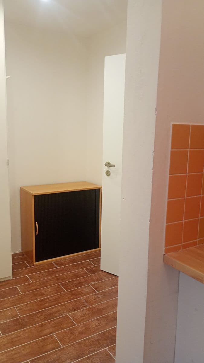 Studio flat to rent, 27 m², Kubelíkova, Prague, Prague Studio flat to rent, 27 m², Kubelíkova, Prague, Prague