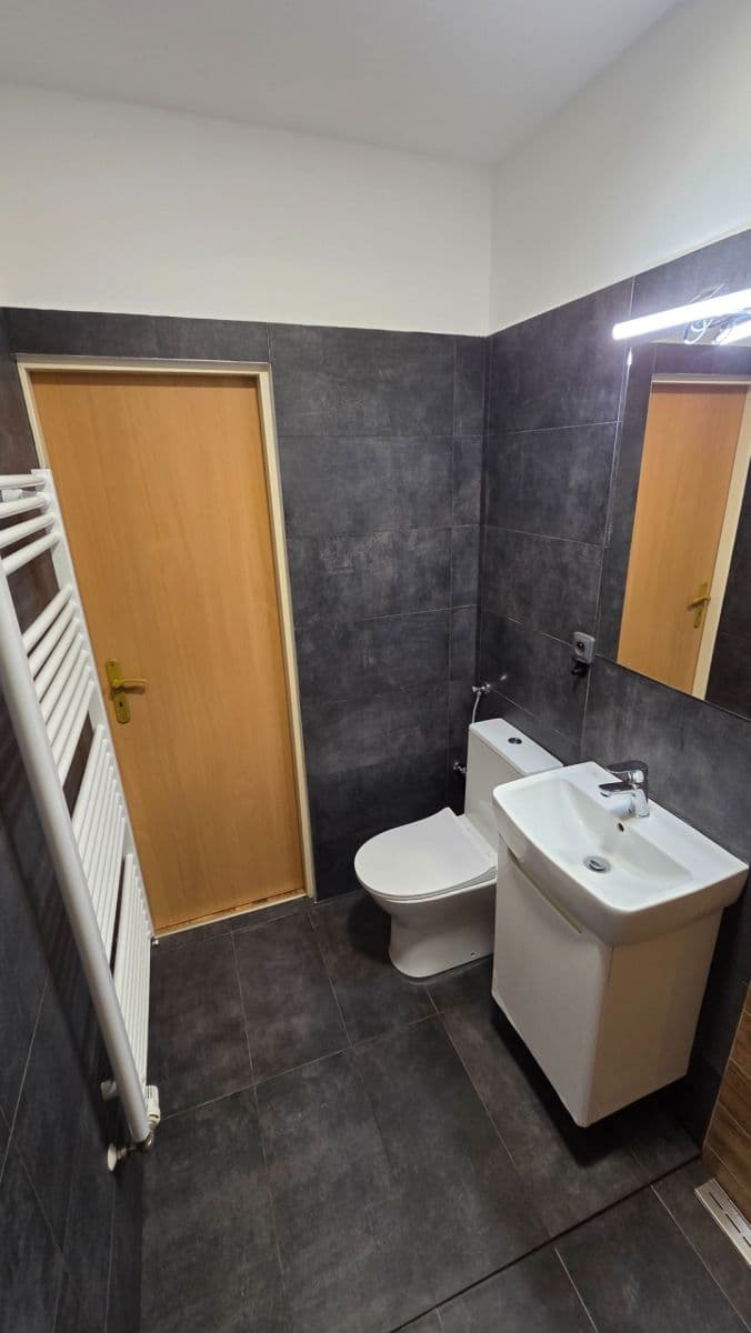 Studio flat to rent, 30 m², Votroubkova, Brno, Jihomoravský Region Studio flat to rent, 30 m², Votroubkova, Brno, Jihomoravský Region