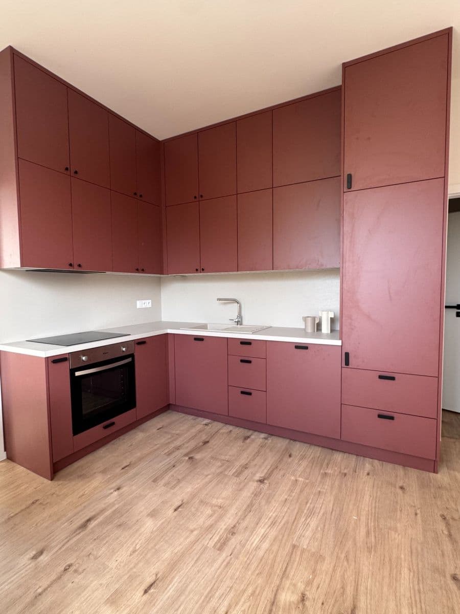 1 bedroom with open-plan kitchen flat to rent, 45 m², 5. května, Prague, Prague 1 bedroom with open-plan kitchen flat to rent, 45 m², 5. května, Prague, Prague