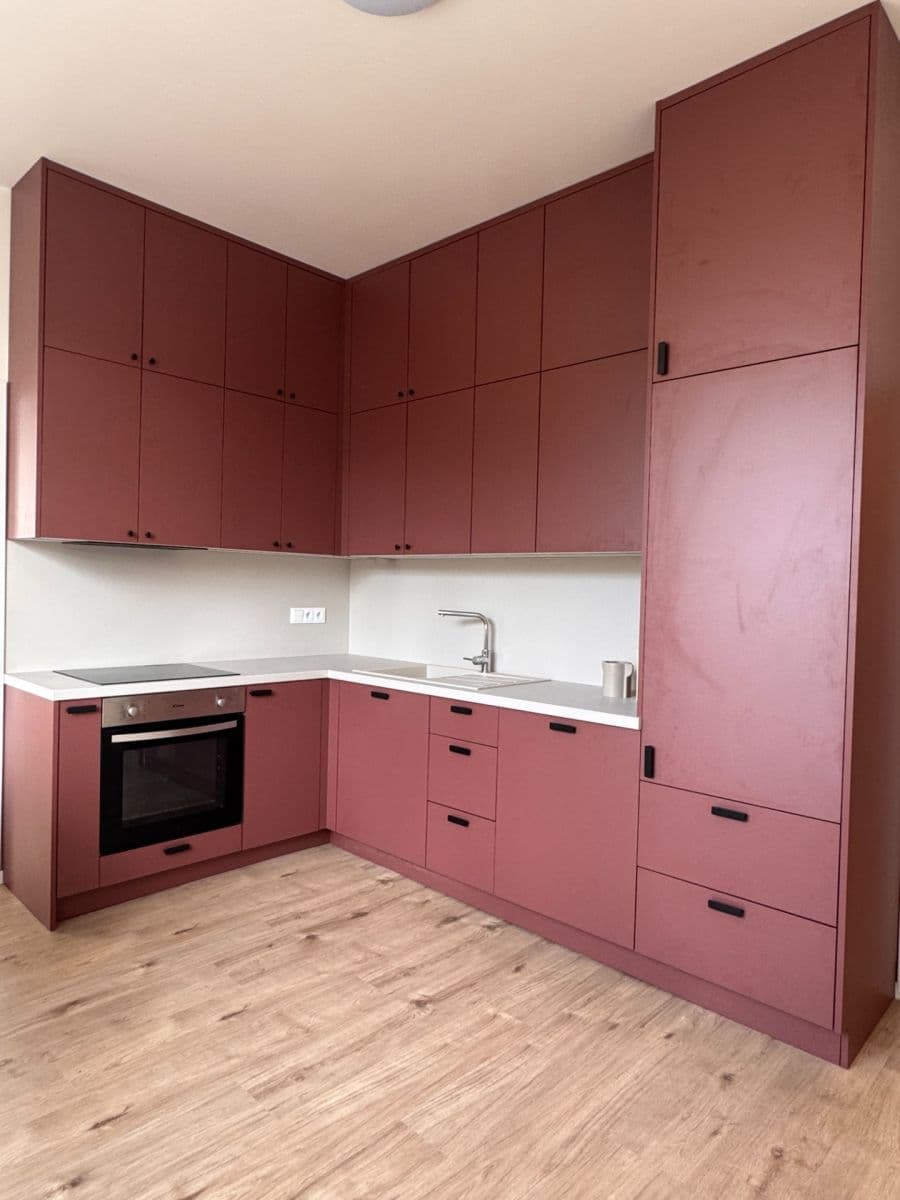 1 bedroom with open-plan kitchen flat to rent, 45 m², 5. května, Prague, Prague 1 bedroom with open-plan kitchen flat to rent, 45 m², 5. května, Prague, Prague