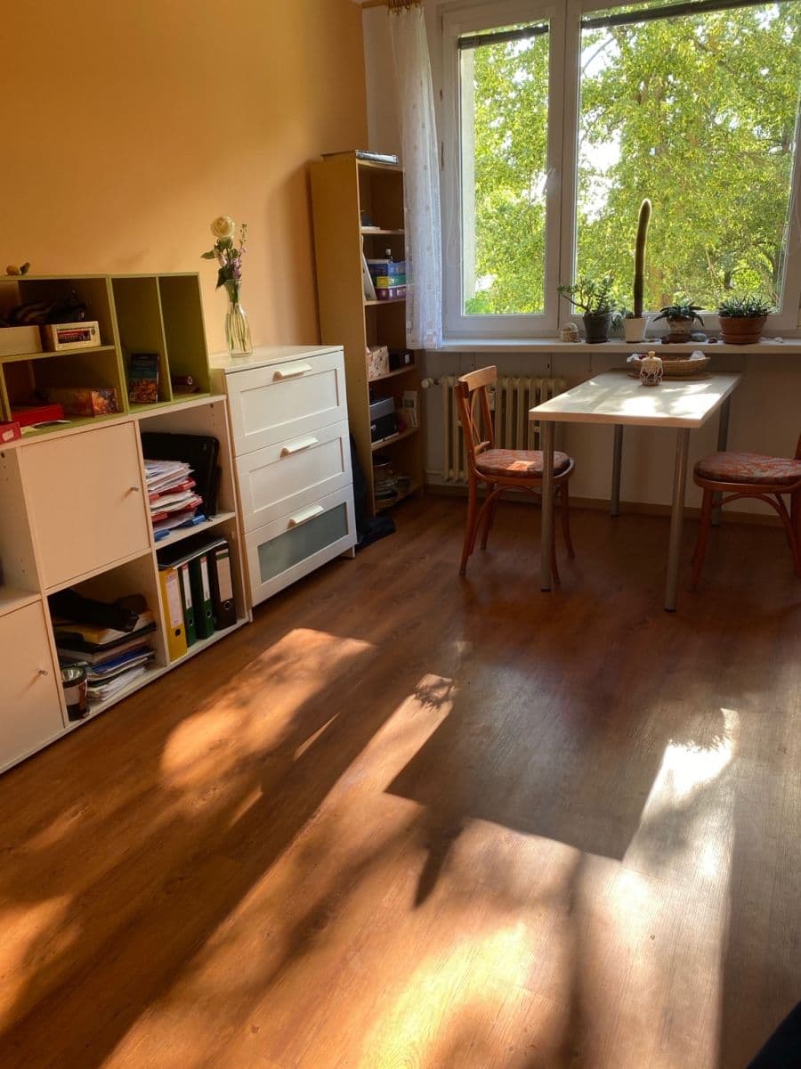 1 bedroom with open-plan kitchen flat to rent, 41 m², Na Strži, Prague, Prague 1 bedroom with open-plan kitchen flat to rent, 41 m², Na Strži, Prague, Prague